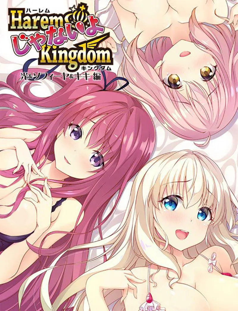 后宫王国 光&苏菲亚&琪琪篇 FD / HaremじゃないよKingdom 光＆ソフィーヤ＆キキ編 FD